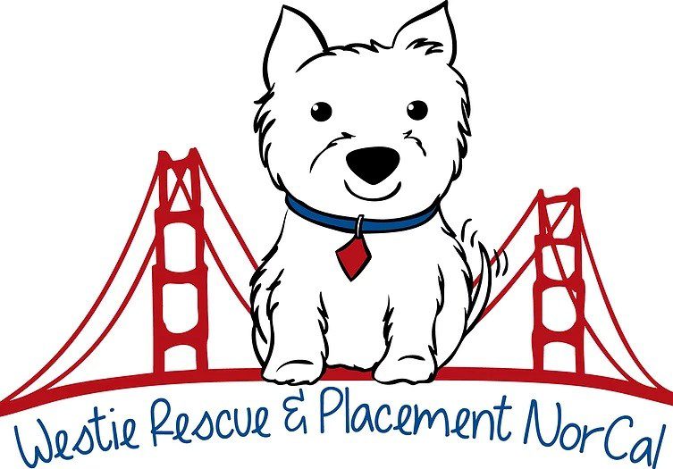 No Westies are currently available to adopt or foster.  Please check back for updates.